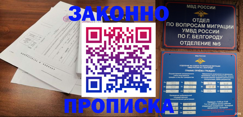 прописка в Московской области